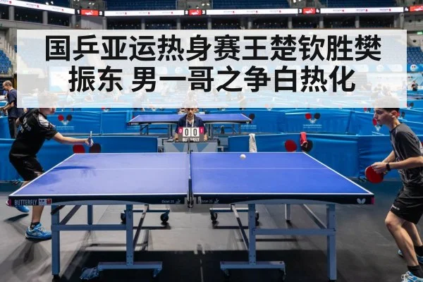 table tennis competition